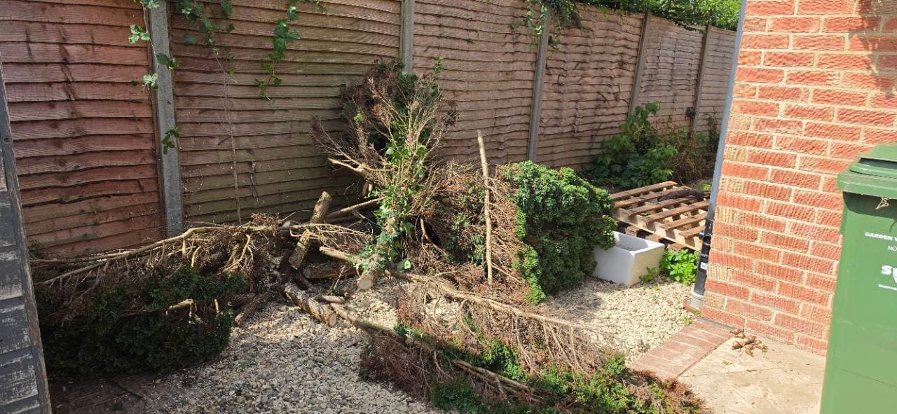 Trees and shrubs removed during the Bridgwater resin patio preparation